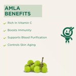 Load image into Gallery viewer, VT AMLA CANDY JAGGERY Spices 100 GM