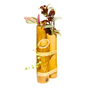 Plantter