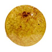 PVC METHI KHAKHARA 200 GM