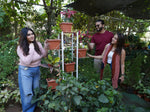 Load image into Gallery viewer, One Day Picnic (Rs. 1200/Person) (Copy)