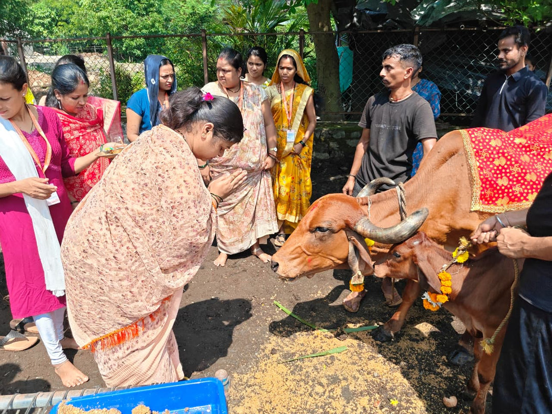 एक गाय – एक परिवार योजना -  6 माह