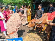 एक गाय – एक परिवार योजना -  1 माह
