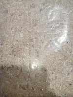 Load image into Gallery viewer, DAPTARI RICE 500 GM

